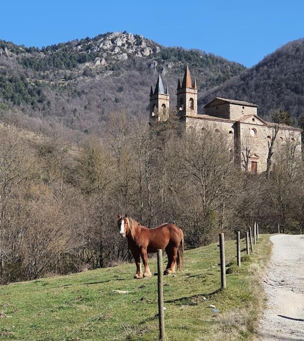 El Mussol De La Vila Camprodon, Balconets Amb Vistes A La Placa المظهر الخارجي الصورة